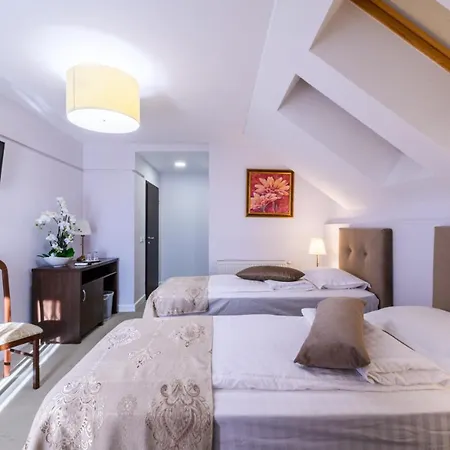 Guest house Palace Caransebes